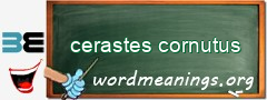 WordMeaning blackboard for cerastes cornutus